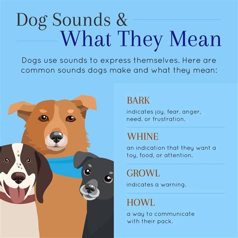Dog Sounds And What They Mean Dog Sounds Ways To Communicate Anger