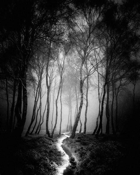 Pin By Photopassion World Of Photo A On Forest Dark Landscape Black