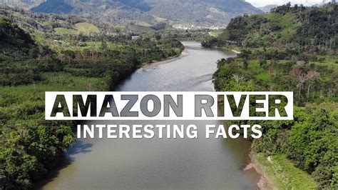 17 Fascinating Facts About Amazon River Disputed Largest River In The