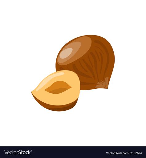 Hazelnut With Half Icon Healthy Eating Cartoon Vector Image