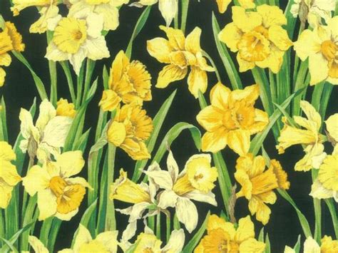 Daffodil Face Mask Sketch My Dress