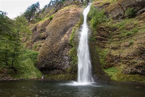 A Complete Guide To Visiting Horsetail Falls And Ponytail Falls