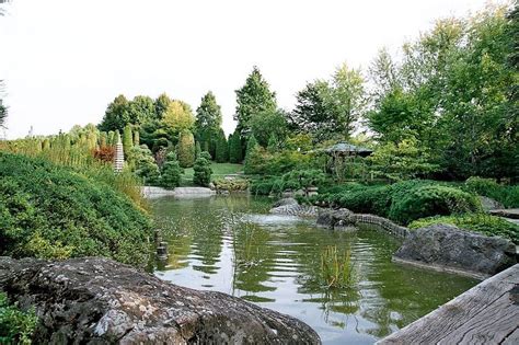 Botanischer garten bonn hofgarten liebenswert rheine schöne hintern deutschland botanische gärten pflanzen. Japanischer Garten in der Rheinaue in Bonn Foto & Bild ...