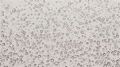 Drops Surface Moist Light 4k Hd Wallpaper