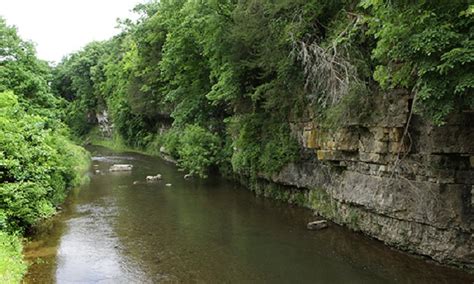 Apple River Canyon State Park In Illinois Is A Hidden Gem