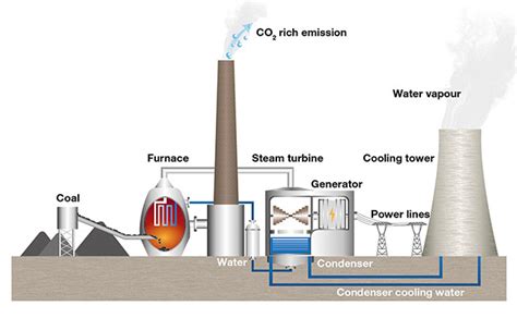 How Is Coal Formed Curiosity Aroused