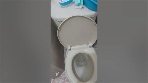 Pipis Toilet Dayung Mandi Youtube