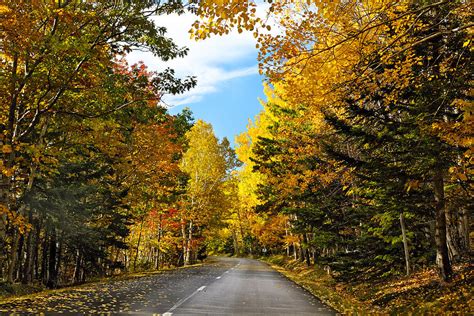 Autumn Scenic Drive Photograph By George Oze Fine Art America