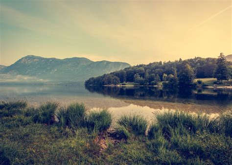 Free Images Landscape Tree Nature Forest Grass Horizon