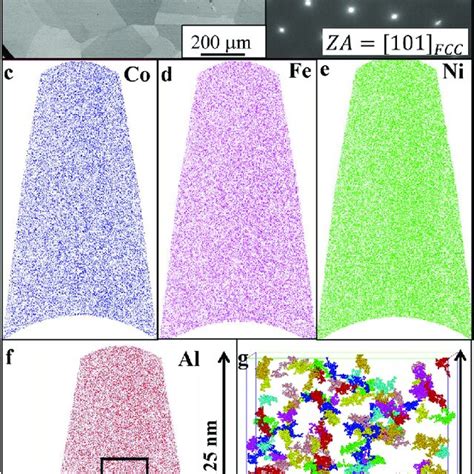 Microstructural Characterization Of The Solutionized Condition A SEM