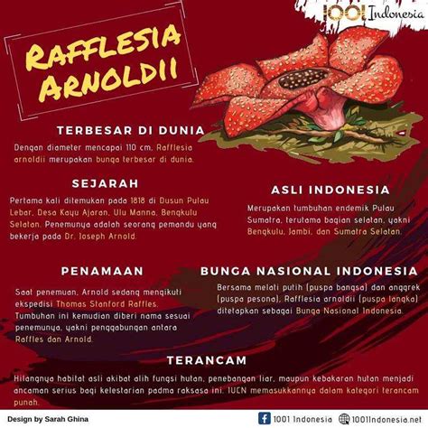 We did not find results for: Tren Untuk Poster Tumbuhan Langka Rafflesia - Koleksi Poster