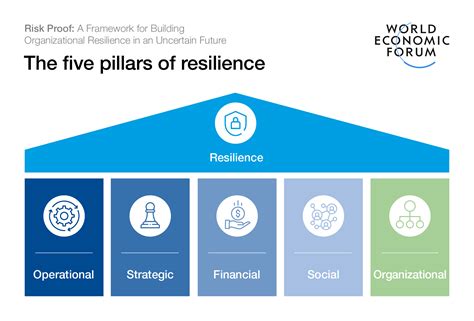 How Can Business Firms Accelerate Organizational Resilience World