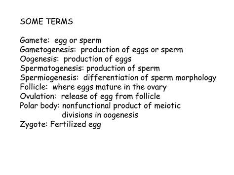 Ppt Gametogenesis Oogenesis Stages Of Meiosis In The Female Ovarian