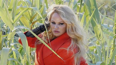 Pamela Anderson Strips Down And Flashes Some Skin For Sexy Shoot In A Corn Field