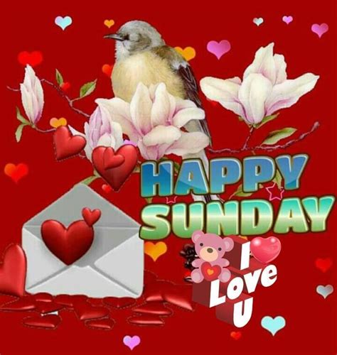 I Love You Happy Sunday Pictures Photos And Images For Facebook