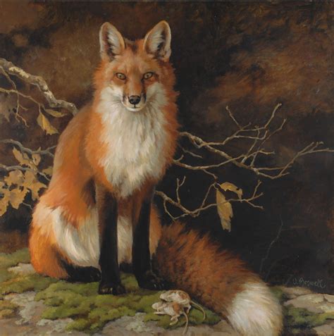 The Quick Red Fox Artist Vivian Boswell C Oil On Canvas X Fox Art Fox
