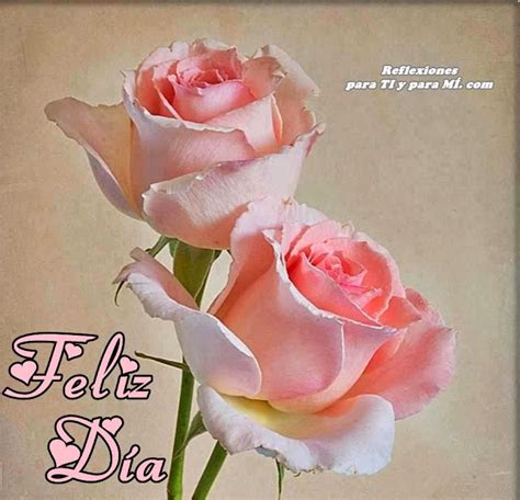 Buenos Deseos Para Ti Y Para MÍ Feliz DÍa Par De Rosas Color Rosa