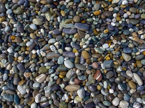 Pebbles On The Beach Rubble On The Seashore Top View Stock Photo