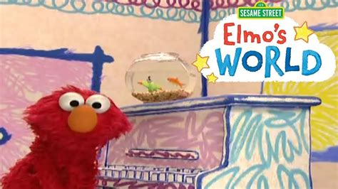 Elmos World Theme Song And Episodes Chat Youtube