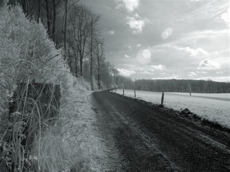 Free Images Snow Winter Black And White Mist Morning Frost