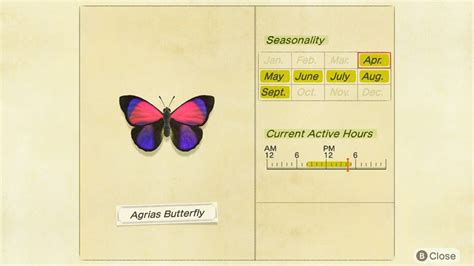 How To Catch An Agrias Butterfly In Animal Crossing New Horizons