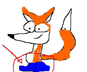Fox in socks. - Drawception png image