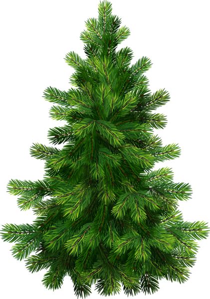 Christmas tree png free download. Christmas tree PNG