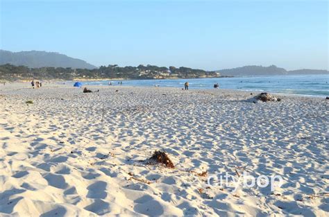 5 Best Things About Carmel Beach