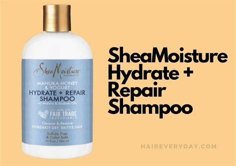 9 Best Shampoos For Dry Scalp 2024 Shampoos Recommended By Our In