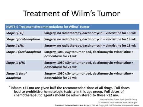 Wilms Tumor Nephroblastoma Medical Junction