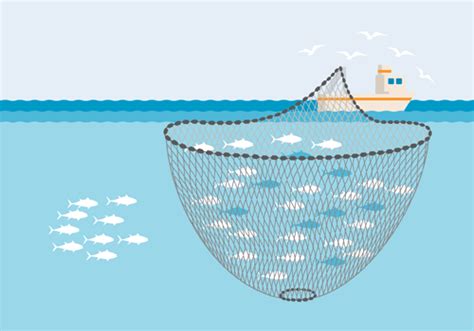 Commercial Fishing Methods Sustainable Fisheries Uw