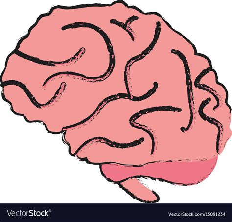 Brain Cartoon Draw Royalty Free Vector Image Vectorstock