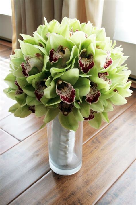 Green Cymbidium Orchids Omg These Are Sooooo Gorgeous Orchid