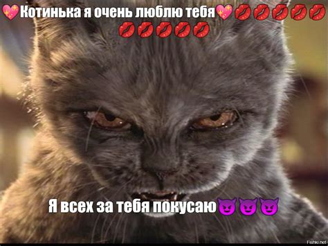 Создать мем злые котики мемы кошки против собак злой кот злой