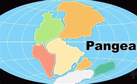 Learn How The Continents Broke Apart From The Pangea Landmass And Moved
