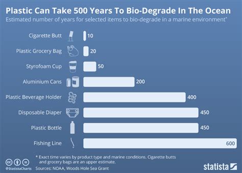 This Is How Long Everyday Plastic Items Last In The Ocean World