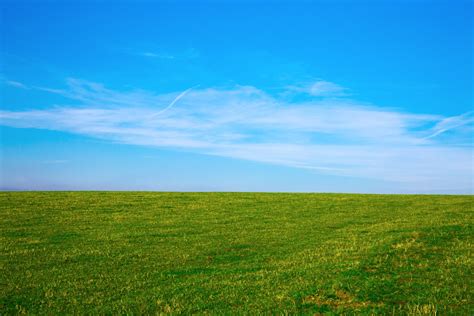 Green Field And Blue Sky Free Stock Photo - Public Domain Pictures
