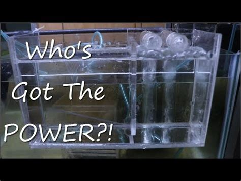 Maybe you would like to learn more about one of these? DIY Air Driven HOB Vs. Power Filter - YouTube