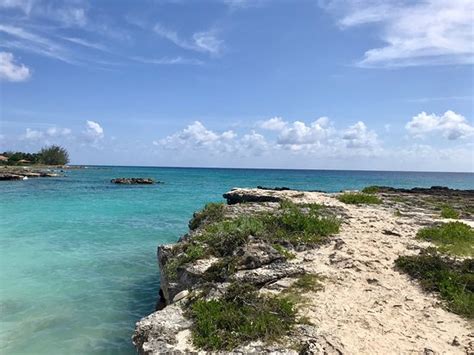 Smith Cove Grand Cayman 2019 All You Need To Know Before You Go