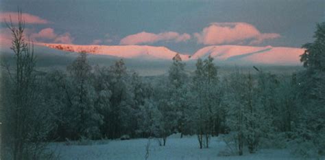 Noi Peisaje De Iarna Imagini Cu Paduri Inzapezite Peisaje De Iarna