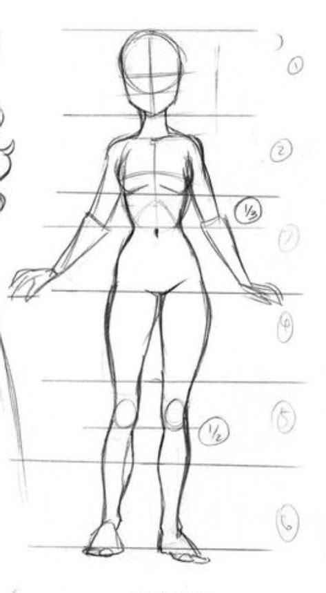 Human Body Proportions Drawing Sheet Sketch Coloring Page