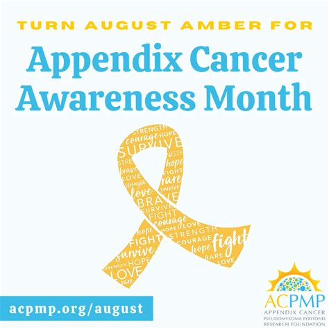 August Appendix Cancer Awareness Month Recap Acpmp