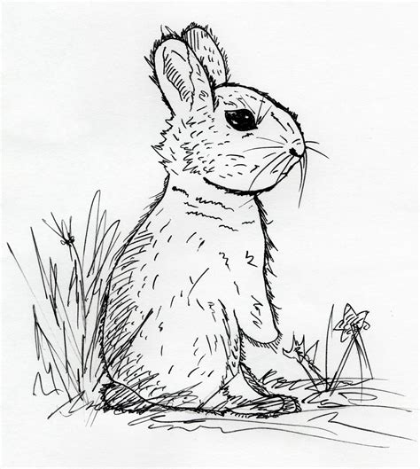 Bunny Rabbit Doodle Art