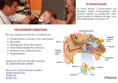 Ear Disorder Conditions Dr Daniel Samadi By Pediatricent Issuu