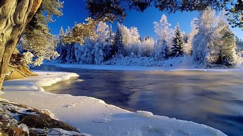 Hd Wallpaper River Sunset Icicles Snow Winter Frost Drops Cold