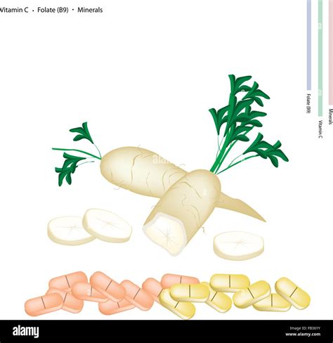 Healthcare Concept Illustration Of Daikon With Vitamin C Folate Or B