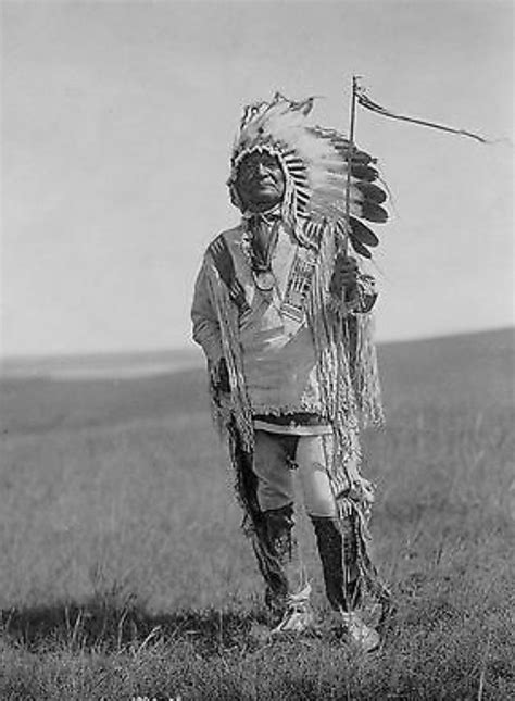 american indigenous peoples native american tribes native american history american heritage