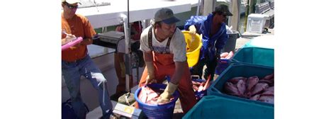 Commercial Fishermen Marine Fish Conservation Network
