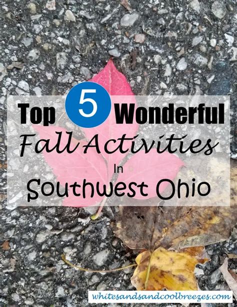 5 Exciting Fall Activities That Will Make You Feel Alive White Sands And Cool Breezes