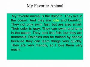 essay on my pet animal fish